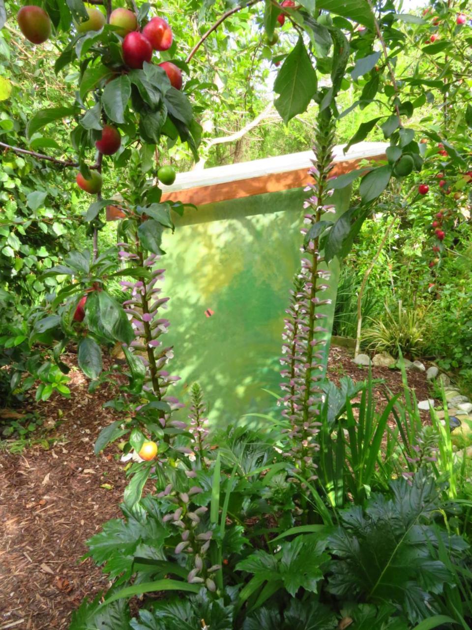 Omarama Oasis - Permaculture Glamping Hotel Pohara Kültér fotó
